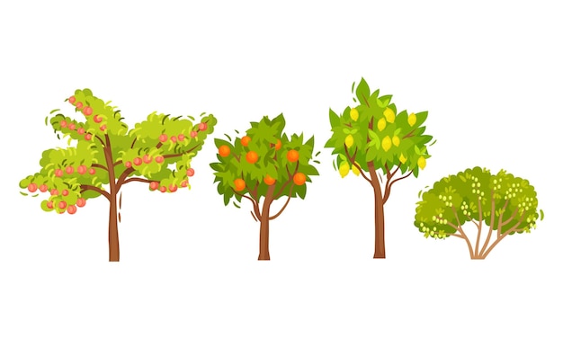Conjunto vectorial de árboles frutales de jardín y arbustos de bayas