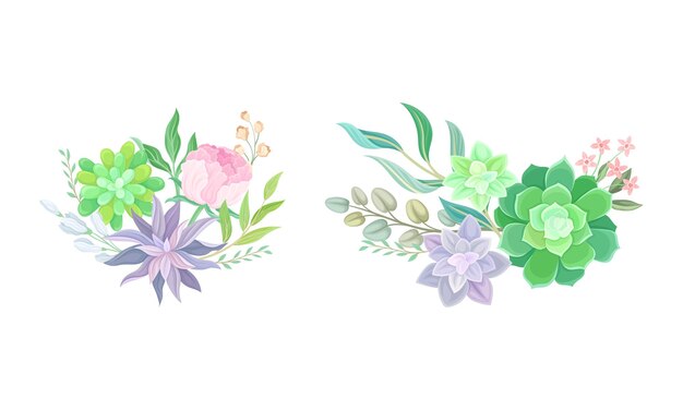Conjunto vectorial de arreglos de ramos de plantas florales carnosas suculentas
