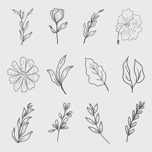 Conjunto vectorial de arte de líneas de flores silvestres de hojas botánicas