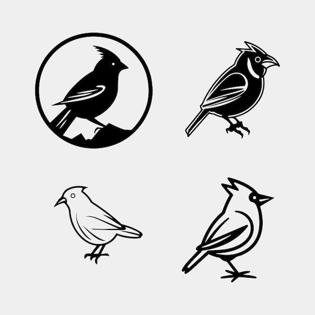 Conjunto vectorial de aves aisladas sobre fondo blanco