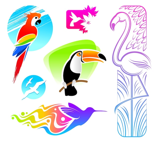 Vector conjunto vectorial de aves tropicales decorativas