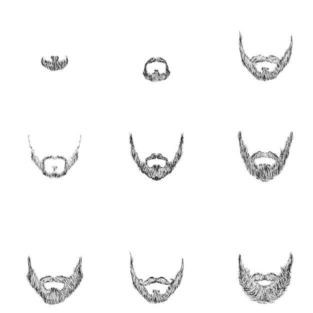 Conjunto vectorial de barbas de esbozo