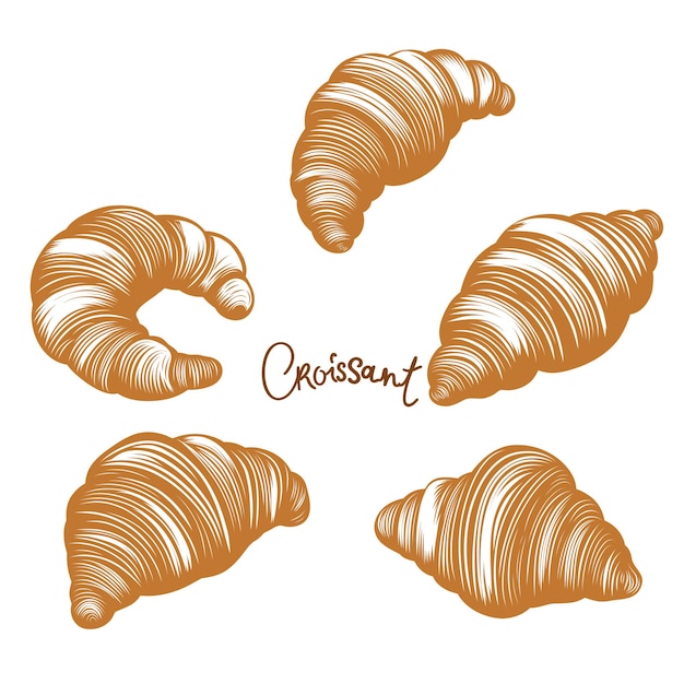 conjunto vectorial de boceto de croissant