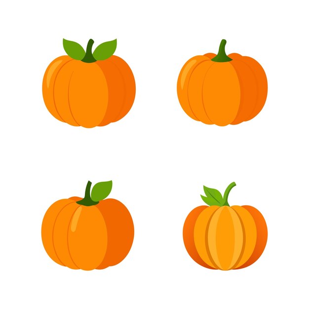 conjunto vectorial de calabaza fondo blanco