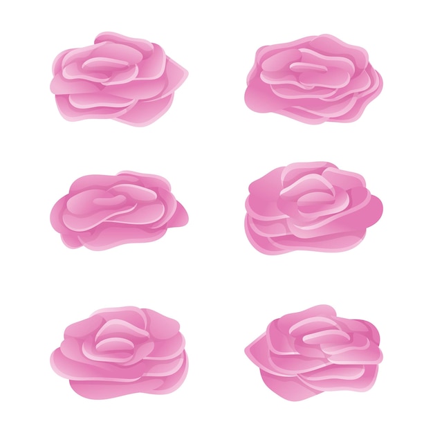 Conjunto vectorial de capullos de rosa rosa