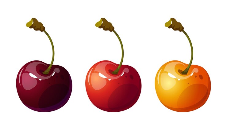 Conjunto vectorial de cerezas enfriadas