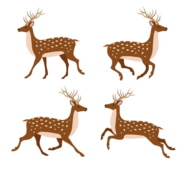 Conjunto vectorial de ciervos planos dibujados a mano
