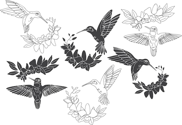 Vector conjunto vectorial de colibríes y ramos de orquídeas