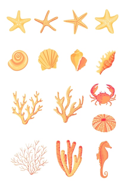 Conjunto vectorial de conchas marinas Colección de bocetos planos de dibujos animados de moluscos Conchas marinas Estrella de mar Erizo de mar Caballo de mar Hipocampo Cangrejo de coral Arrecife de coral de moda bajo el agua Colección aislada en blanco
