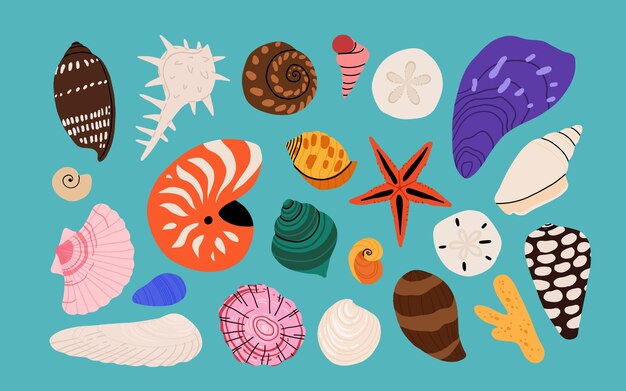 Conjunto vectorial de conchas marinas Colección de dibujos animados planos íconos planos modernos de moluscos conchas marinos estrellas de mar erizo cangrejo coral arrecife de coral de moda bajo el agua colección aislada en blanco
