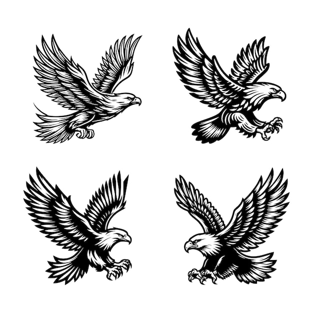 Conjunto vectorial de contorno en blanco y negro de águila dorada voladora