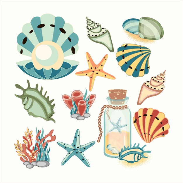 Vector conjunto vectorial dibujado a mano de conchas marinas, corales y estrellas de mar