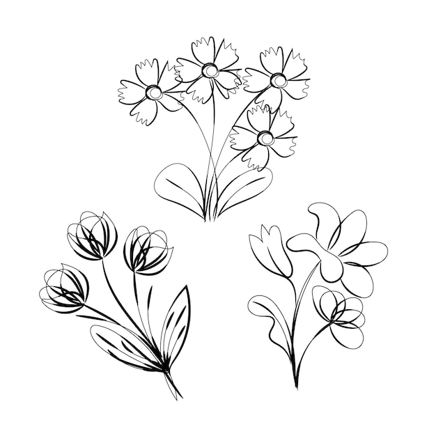 Conjunto vectorial de dibujo botánico de hojas de flores silvestres