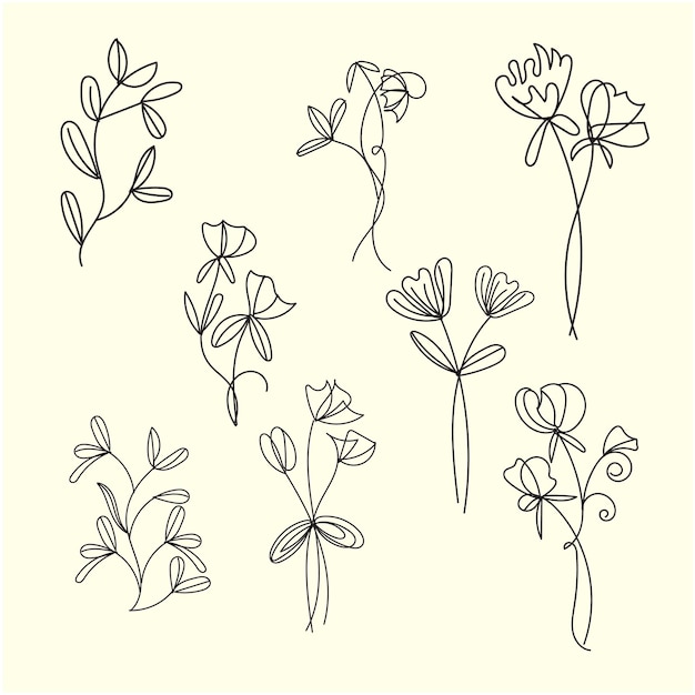 conjunto vectorial de dibujos botánicos de hojas de flores silvestres