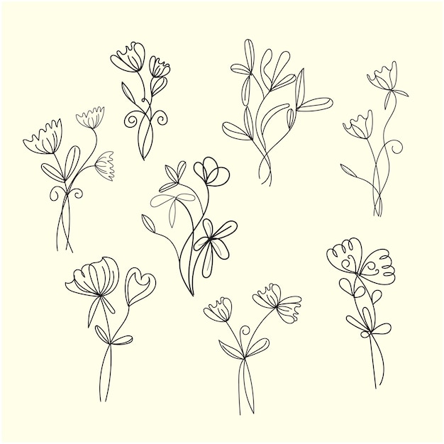 conjunto vectorial de dibujos botánicos de hojas de flores silvestres