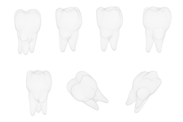 Conjunto vectorial de dientes 3d para medicina dental aislado en blanco