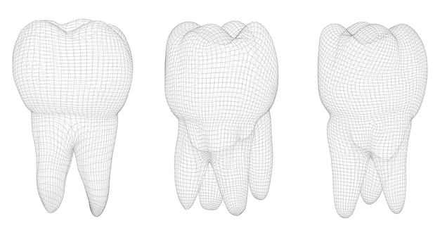 Conjunto vectorial de dientes 3d para medicina dental aislado en blanco