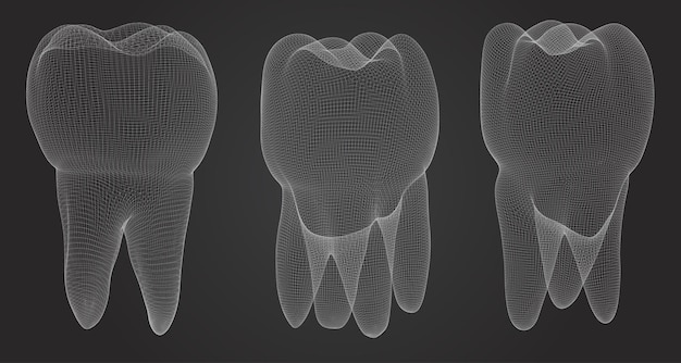 Conjunto vectorial de dientes 3d para medicina dental