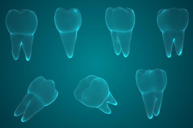 Conjunto vectorial de dientes 3d para medicina dental