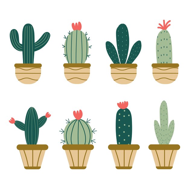 conjunto vectorial de diferentes cactus verdes en olla sobre un fondo blanco aislado