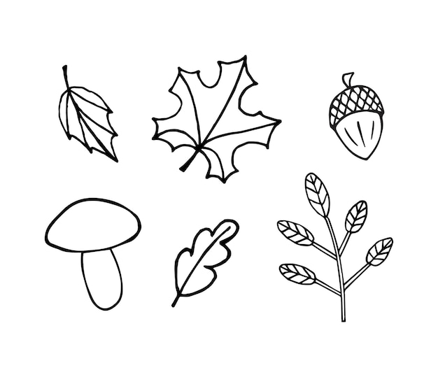 Conjunto vectorial de diferentes elementos de otoño de doodle