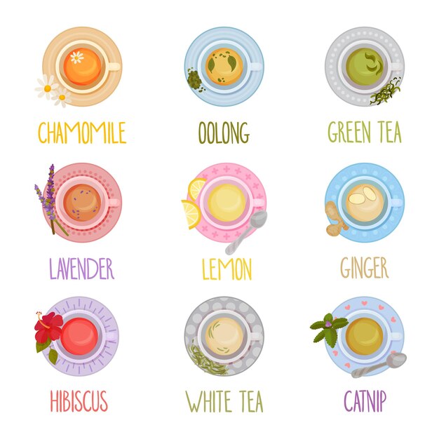 Conjunto vectorial de diferentes tipos de té Bebidas herbáceas coloridas vertidas en taza de té de pie en el platillo Vista desde arriba Colección
