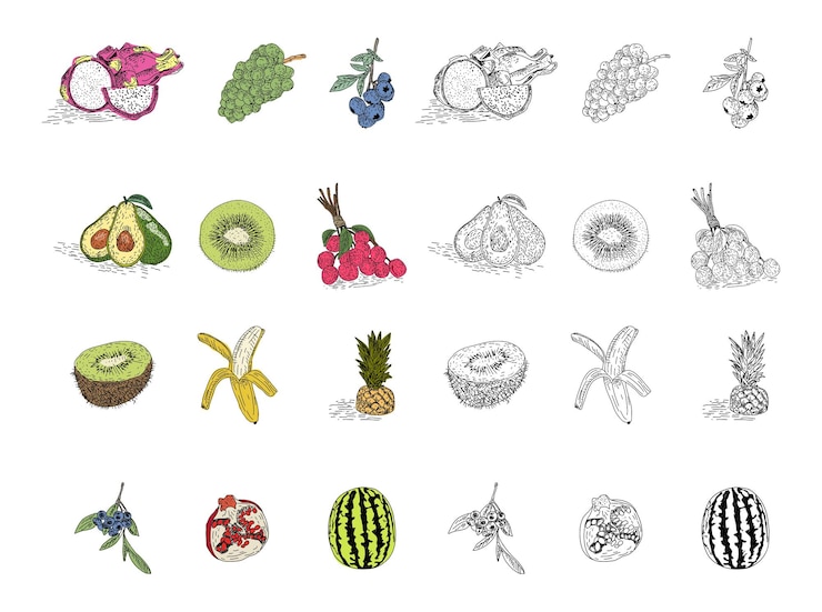 Vector conjunto vectorial de estilo dibujado a mano de frutas