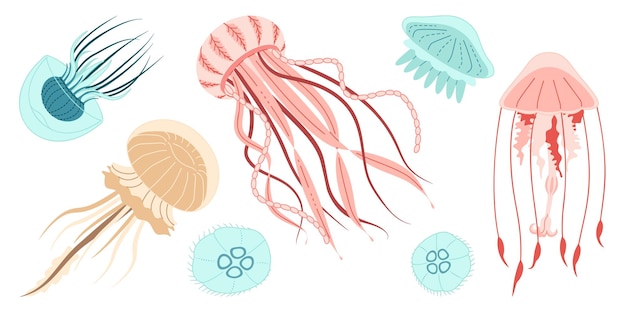Conjunto vectorial de estilo plano de moda de medusas