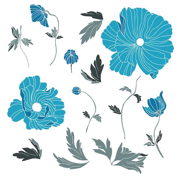 Conjunto vectorial de flores de amapola con hojas Ilustración botánica para papel tapiz textil tela ropa postales de papel