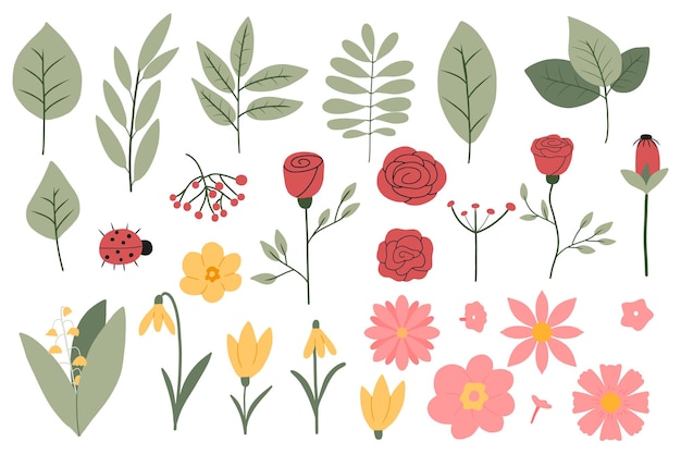 Conjunto vectorial de flores y hojas de primavera. Conjunto con ramas de árboles y flores diferentes. ilustración vectorial
