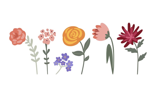 conjunto vectorial de flores de jardín multicolores sobre un fondo claro