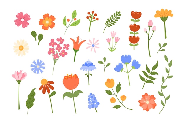 Conjunto vectorial de flores lindas Ilustración de elementos botánicos florales hojas prado natural dibujado a mano