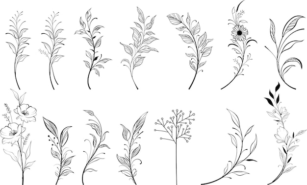 Conjunto vectorial de flores de línea fina Doodle elementos florales ornamentales naturaleza hojas botánicas