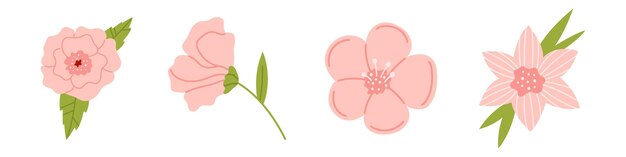 Conjunto vectorial de flores rosas suaves en diseño plano Colección de flores delicadas en color rosa pétalo Ilustración floral