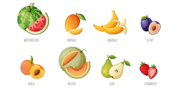 Un conjunto vectorial de frutas y bayas con sus nombres.