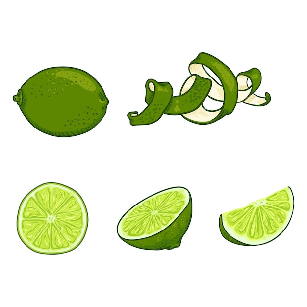Conjunto vectorial de frutas de lima