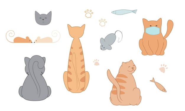Conjunto vectorial de gatos aislados. La ilustración tiene animales, peces, patas de gato, comida, gatitos
