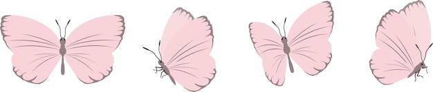 Conjunto vectorial de hermosas mariposas coloridas sobre un fondo blanco