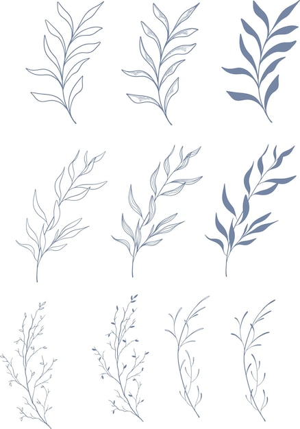 Vector conjunto vectorial hermoso floral y hojas elementos de arte de línea elementos de conjunto botánico dibujados a mano
