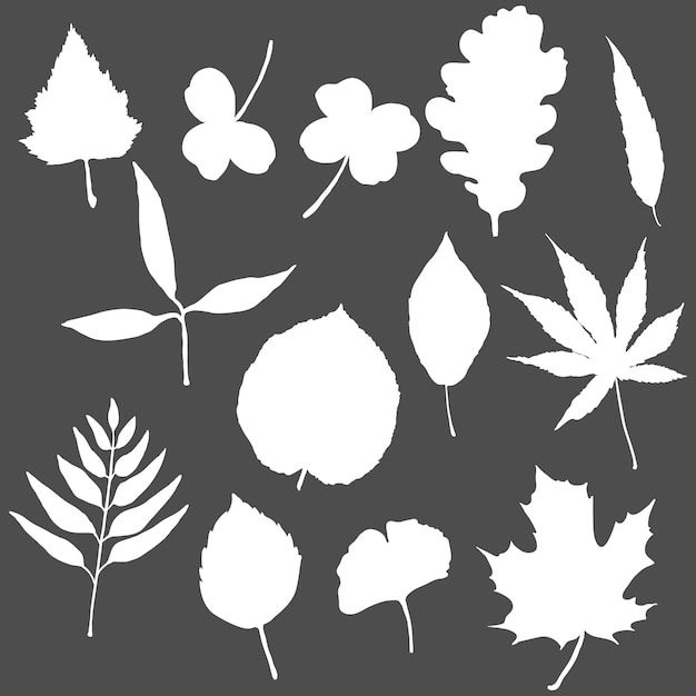 Conjunto vectorial de hojas de árbol de silueta blanca