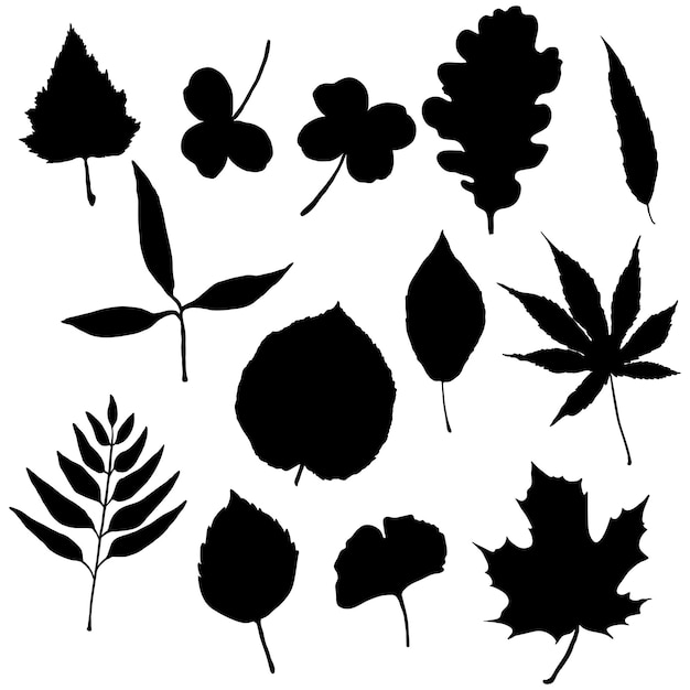 Conjunto vectorial de hojas de árbol de silueta negra