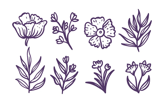 conjunto vectorial de hojas botánicas dibujos de flores silvestres ilustración de línea de arte
