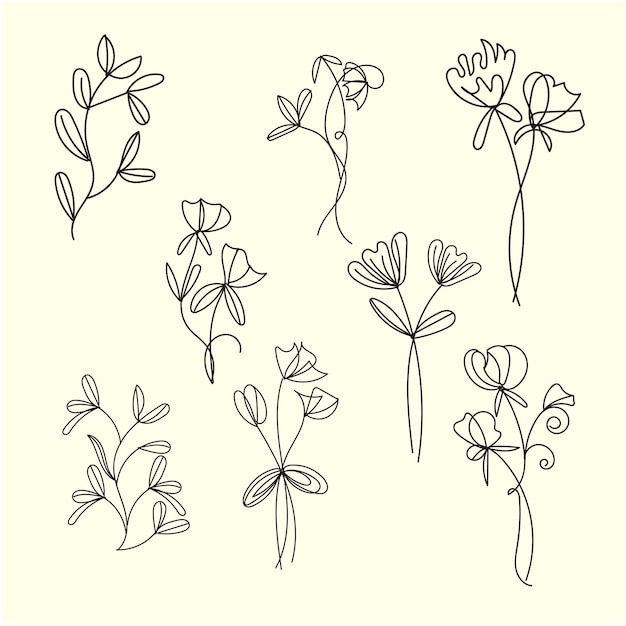 conjunto vectorial de hojas botánicas garabatos de flores silvestres línea de arte