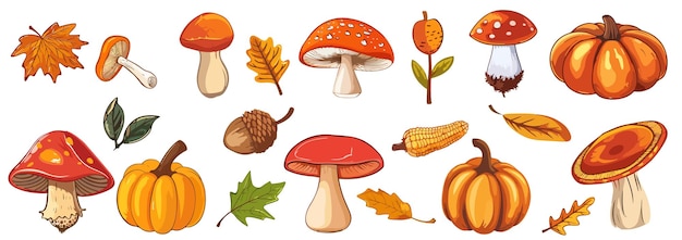 Conjunto vectorial de hojas de cono de hongo forestal Estación de la naturaleza de otoño Conjunto de elementos botánicos vectoriales
