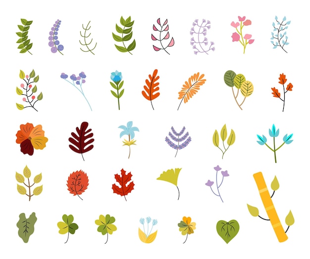 Conjunto vectorial de hojas florales Ilustración para hermosos elementos decorativos