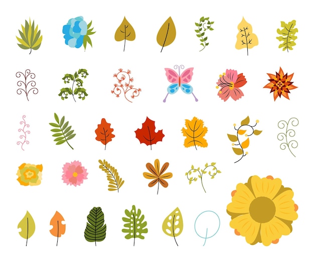Conjunto vectorial de hojas florales Ilustración para hermosos elementos decorativos