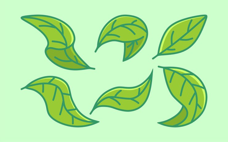 Conjunto vectorial de hojas verdes elemento icono vectorial de hoja verde símbolo vectorial