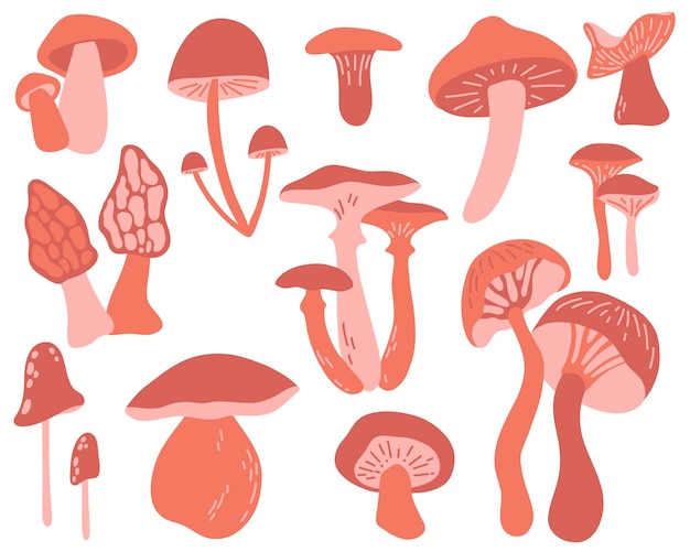 Conjunto vectorial con hongos comestibles e inedibles en color marrón