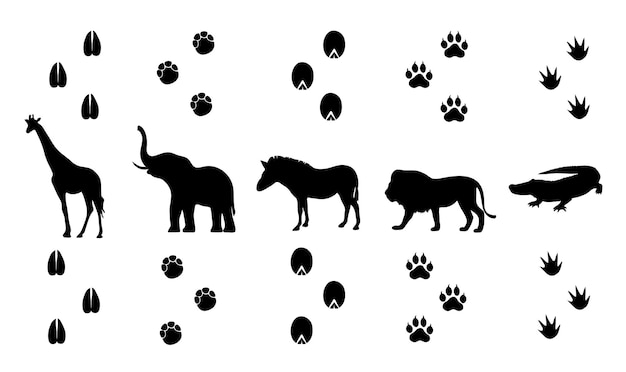 Vector conjunto vectorial de huellas de animales de safari a pie