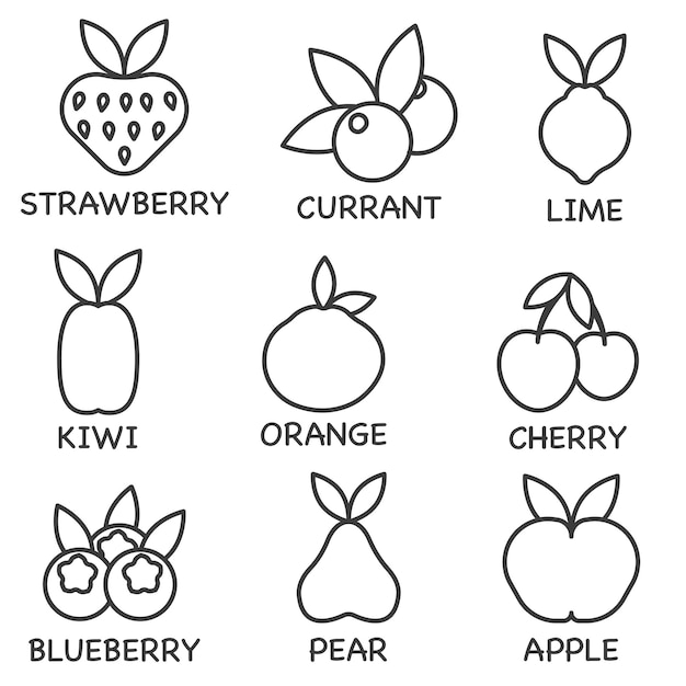 Conjunto vectorial de iconos de líneas de frutas Línea delgada Contiene frutas de uso común